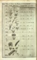 Histoire des plantes de Dauphiné, Dominique Villars : planche tome I